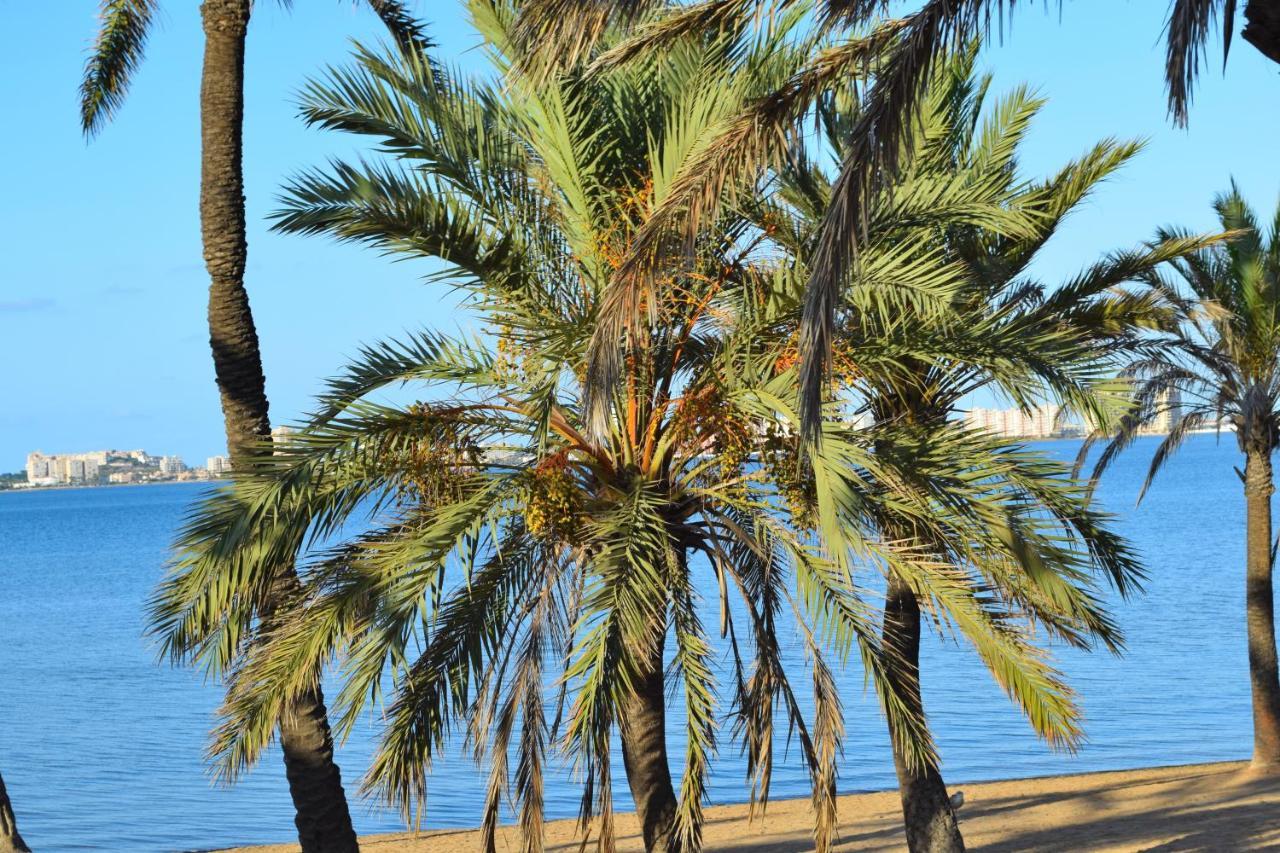 Bungalow En Camping De La Manga Bagian luar foto